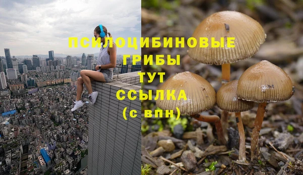 бутират Елабуга