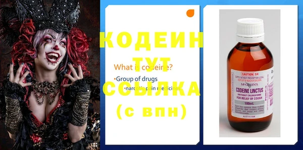 твердый Елизово